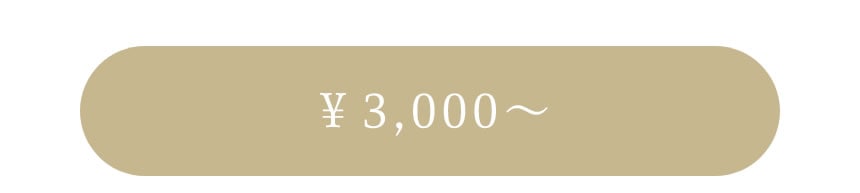 ￥3,000～