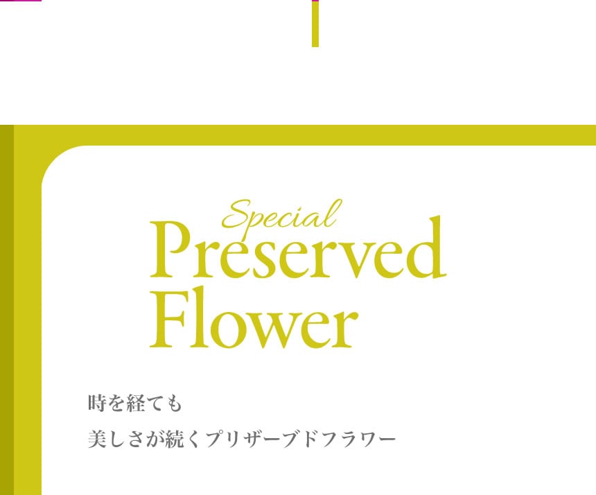 Preserved Flower