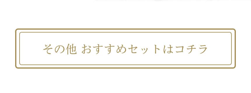 その他 おすすめセットはコチラ