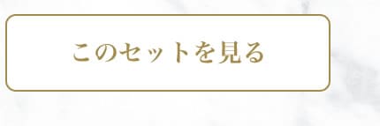 このセットを見る