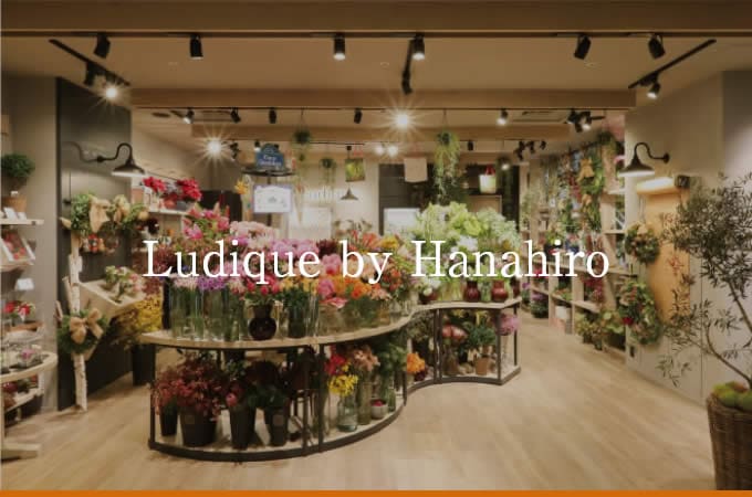 Ludique by Hanahiro
