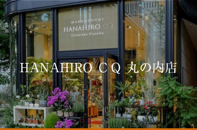 HANAHIRO ＣＱ 丸の内店