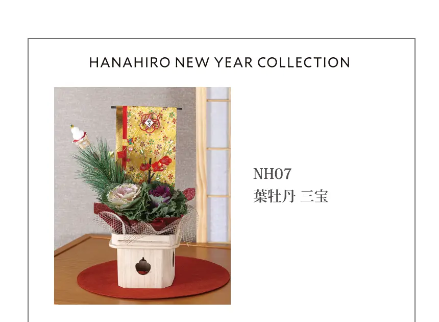 NH07葉牡丹 三宝 