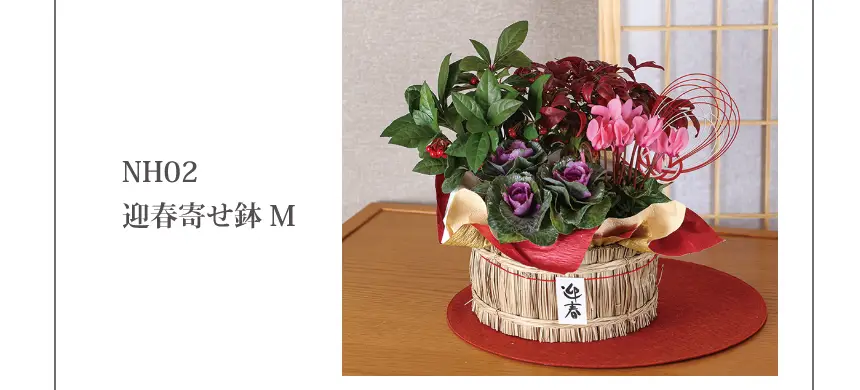 NH02 迎春寄せ鉢 M