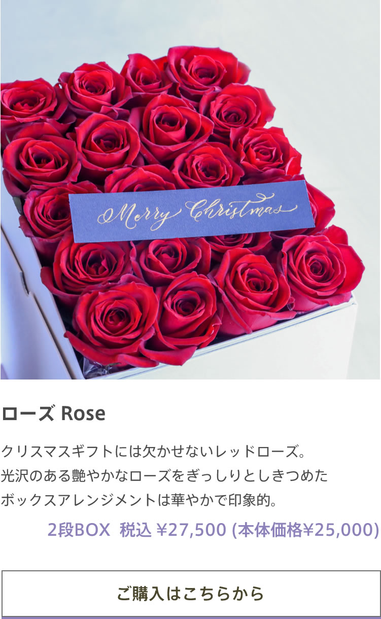 ローズ Rose クリスマスギフトには欠かせないレッドローズ。光沢のある艶やかなローズをぎっしりとしきつめたボックスアレンジメントは華やかで印象的。