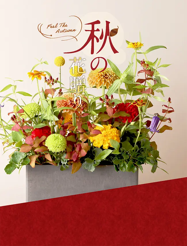 秋の贈り花