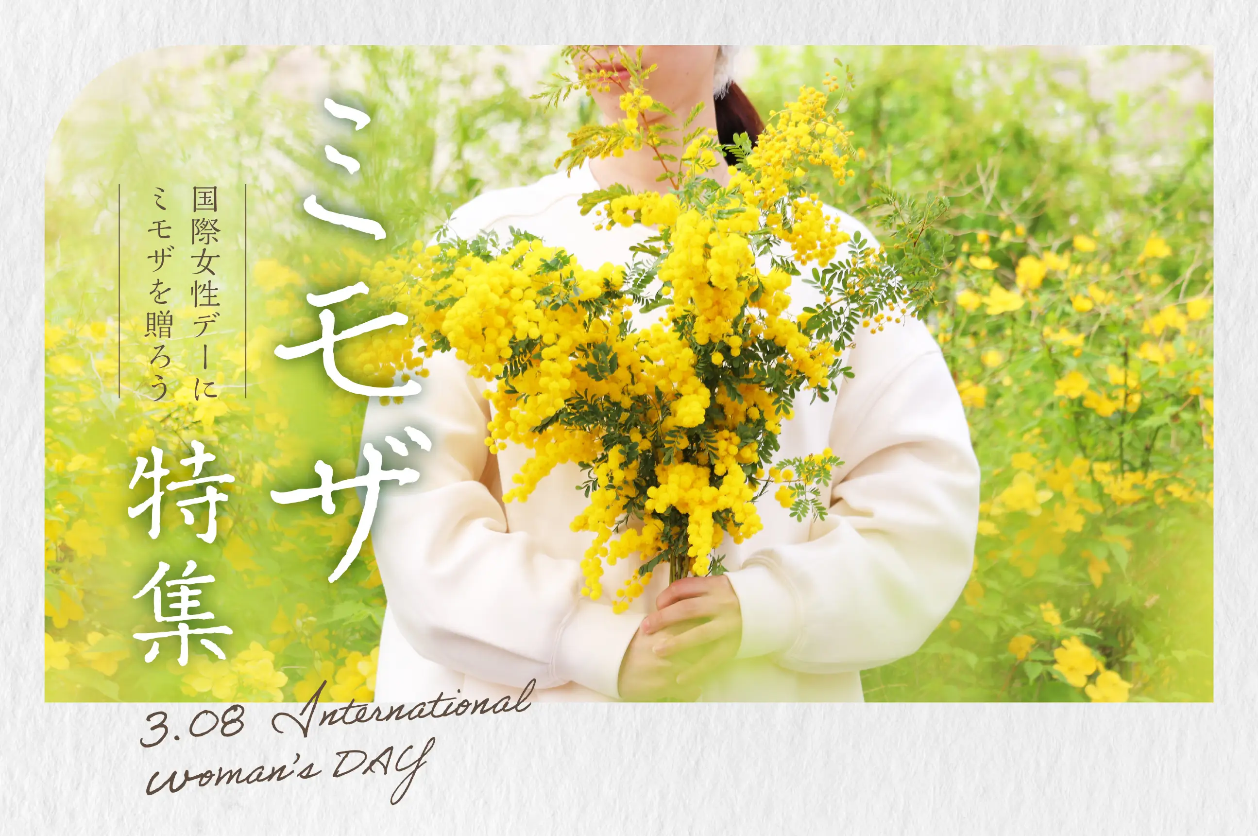 ミモザ特集～3月8日・国際女性DAY～
