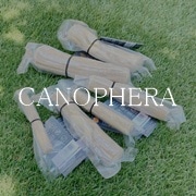 �Хʡ�06�Ǥ�