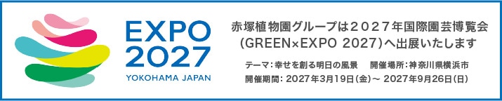 Expo2027