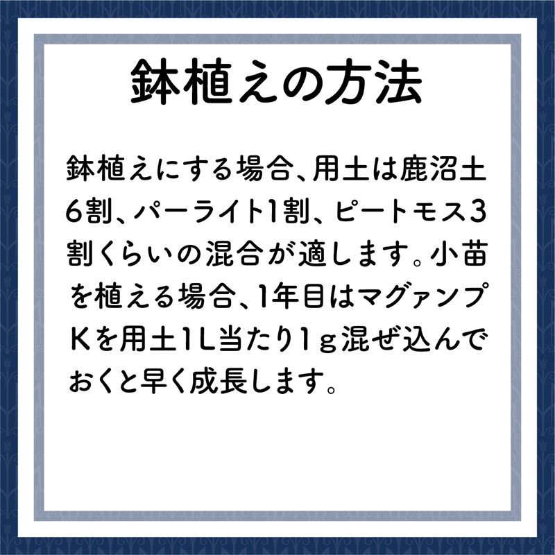 スーパーローディー植え付け