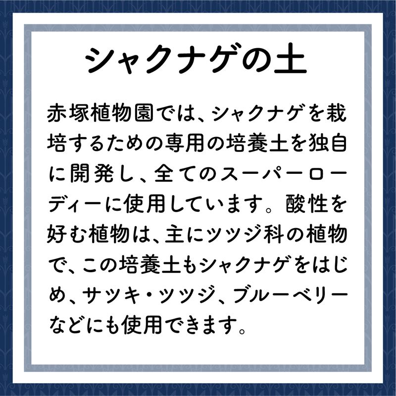 スーパーローディー植え付け