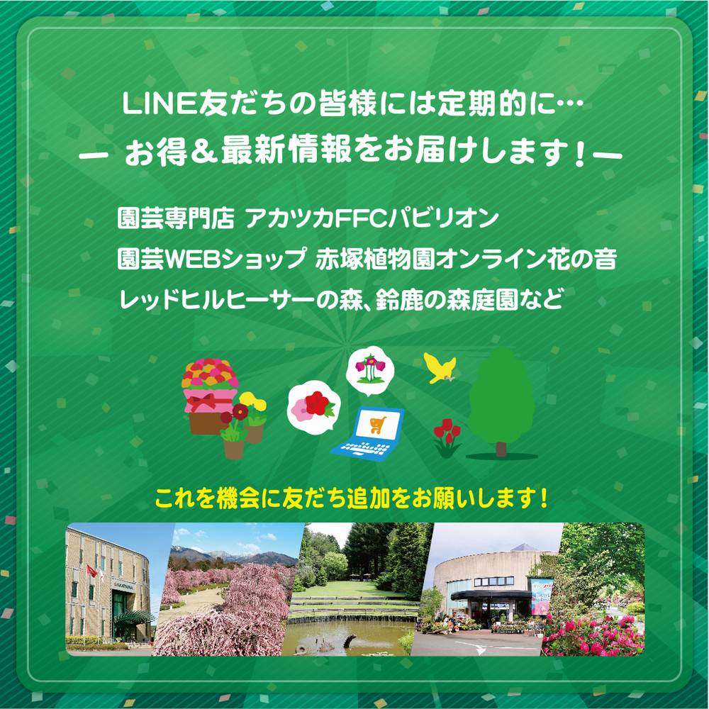 キャンペーンステップ1