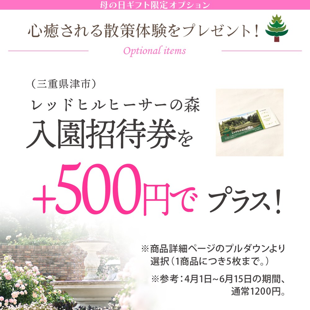 早割期間中！】母の日ギフト2026 アジサイ 衣純千織イズミチオリ