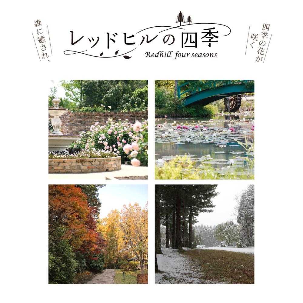 レッドヒルチケット限定オプション