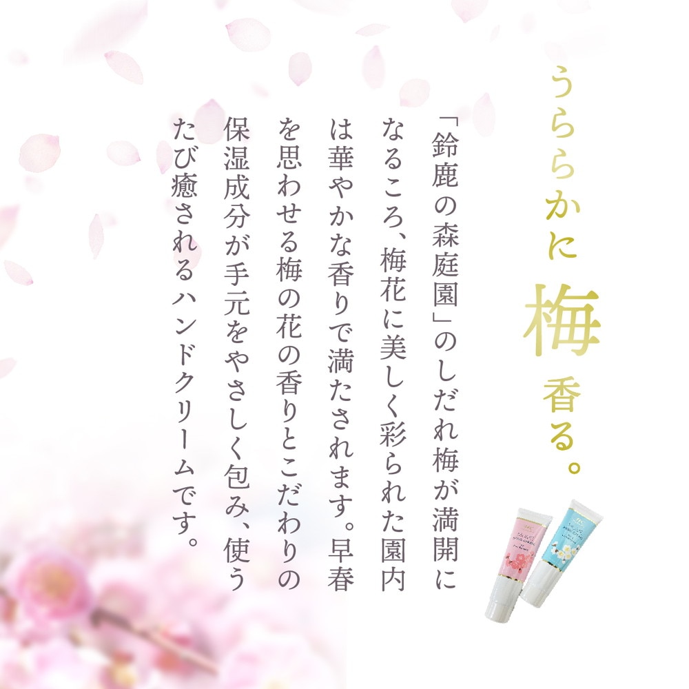 FFCハンドクリーム限定オプション