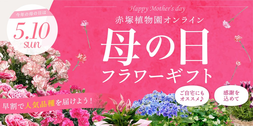 母の日ギフト2026