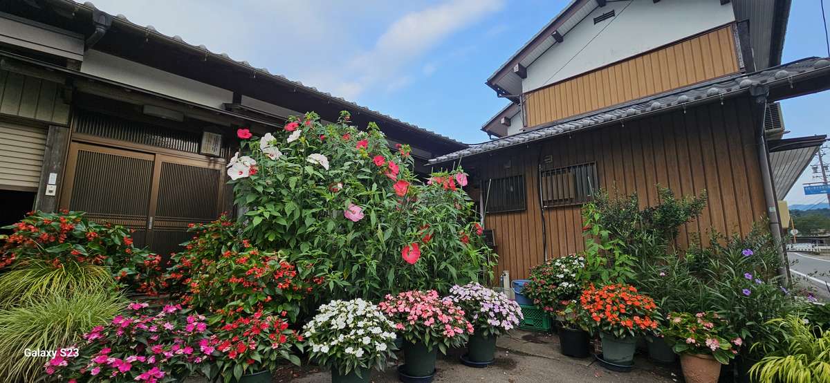 タイタンコンテスト