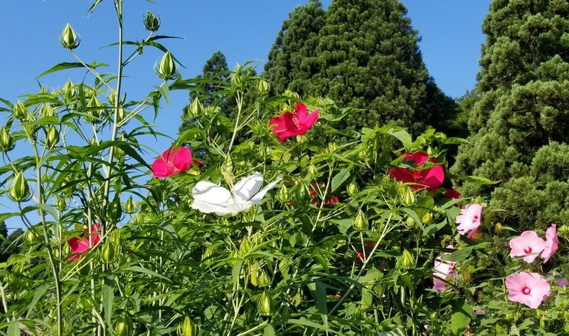 タイタンコンテスト