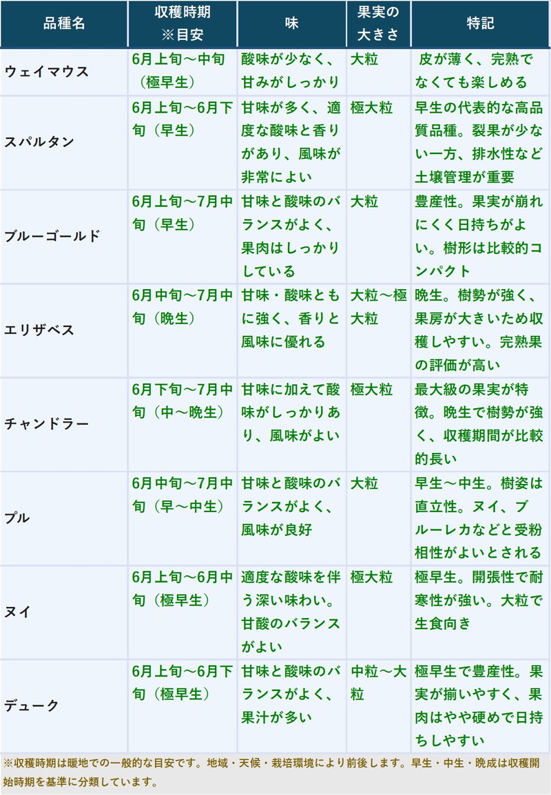 予約9月下旬以降発送】ブルーベリー苗 ノーザンハイブッシュ系 選択