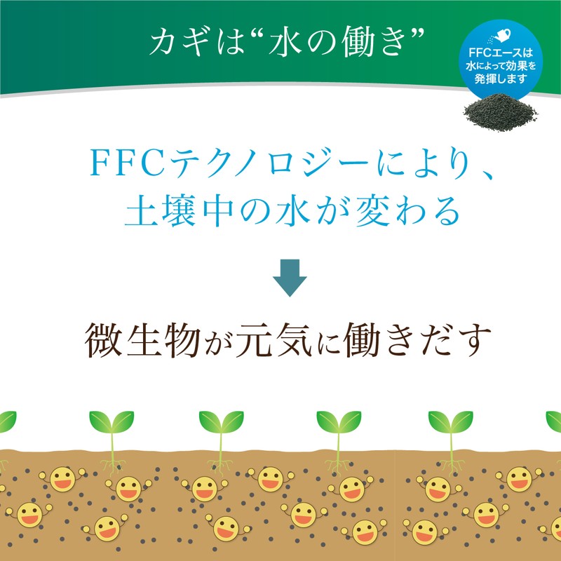 FFCエース20kg