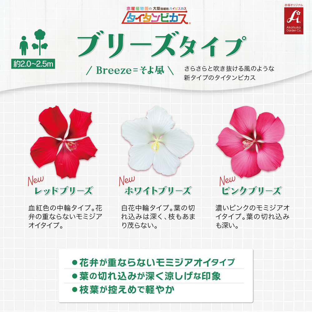 タイタンビカス比較