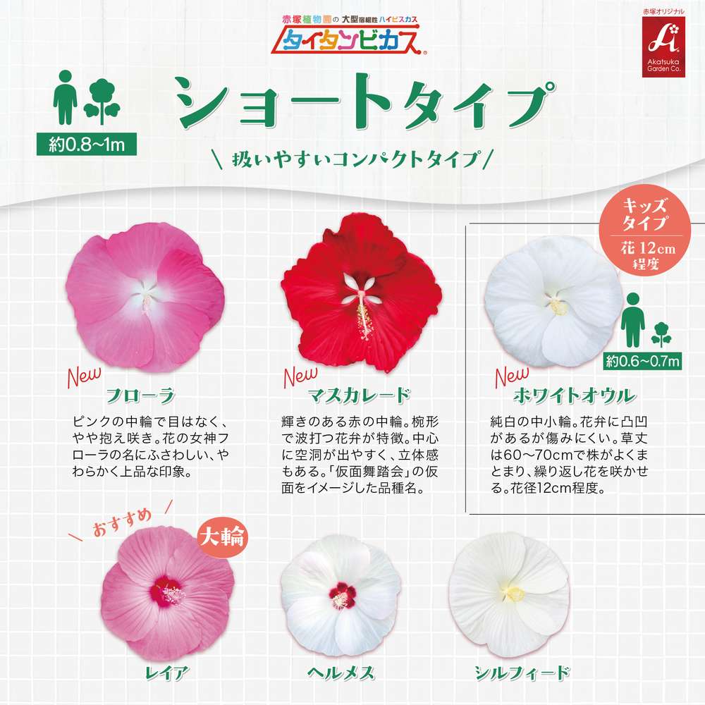 タイタンビカス比較