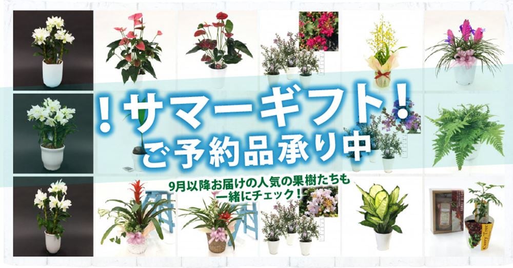 赤塚植物園 オンライン フラワーショップ花の音 のトップページ