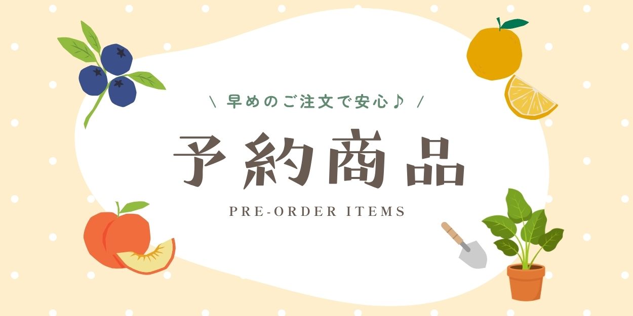 ご予約受付中