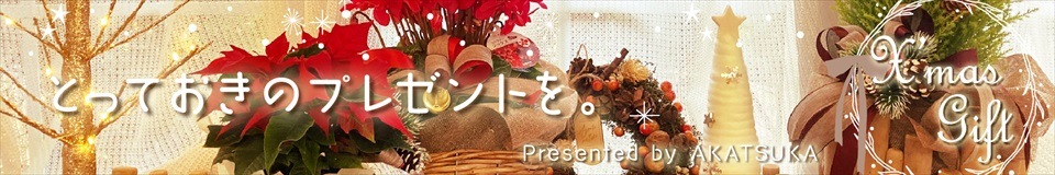 赤塚植物園クリスマスギフト