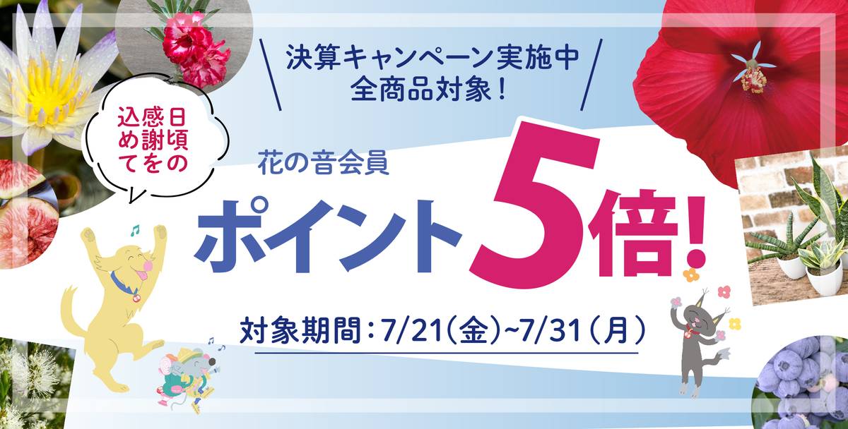ポイント5倍キャンペーン実施中