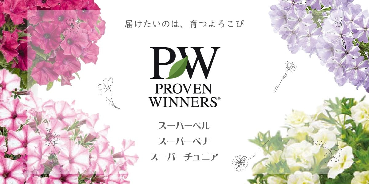 PWシリーズ 季節の草花