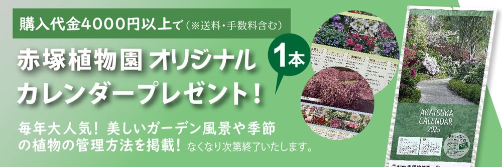 赤塚植物園オリジナルカレンダープレゼント