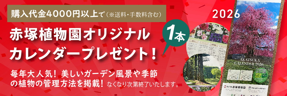 カレンダープレゼント