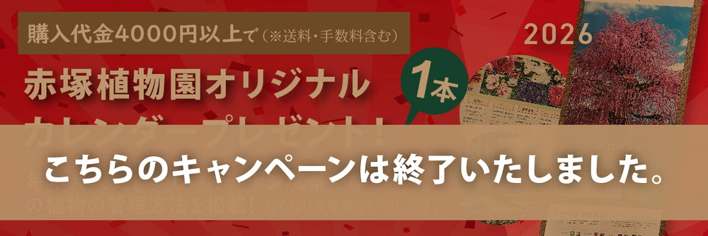 カレンダープレゼント終了