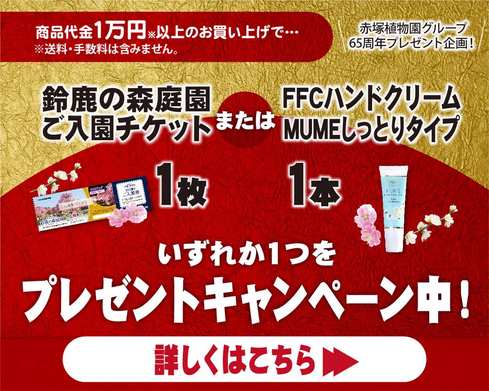 ヤマアジサイ 4号 美里桜 ミサトザクラ（37）｜花木01-D1 | 赤塚植物園