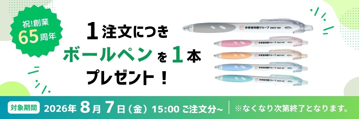 65周年ボールペンプレゼント