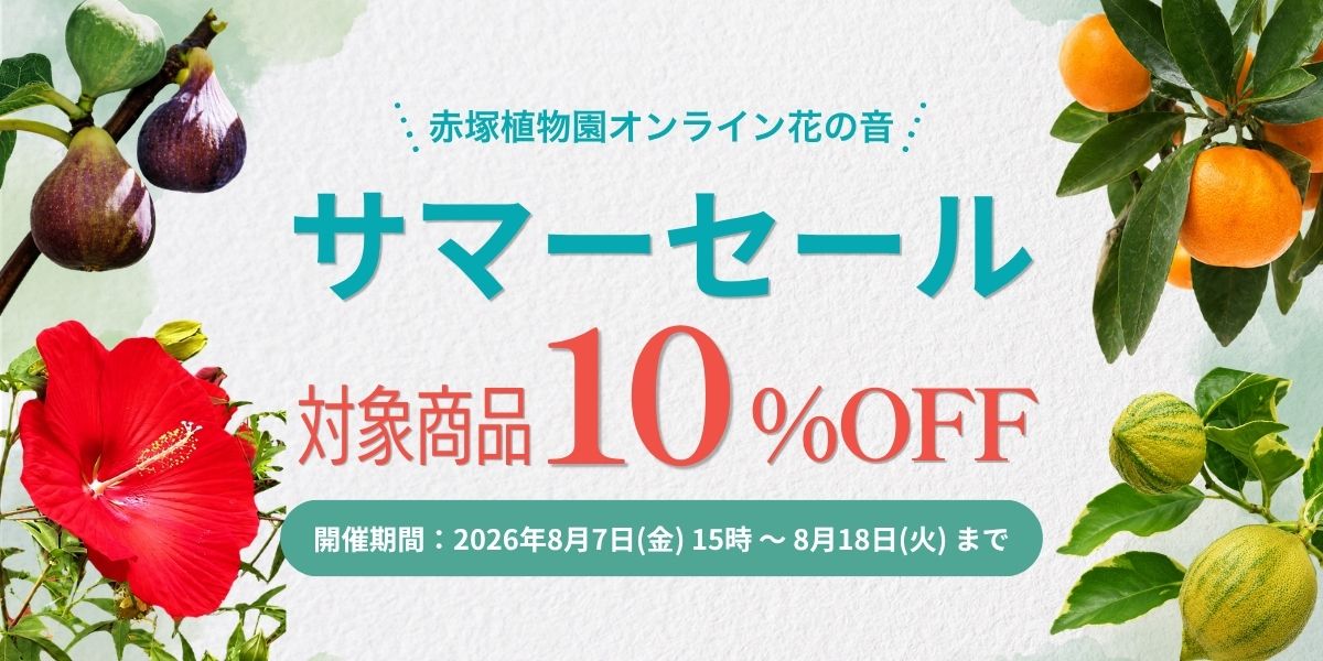 夏セール2026