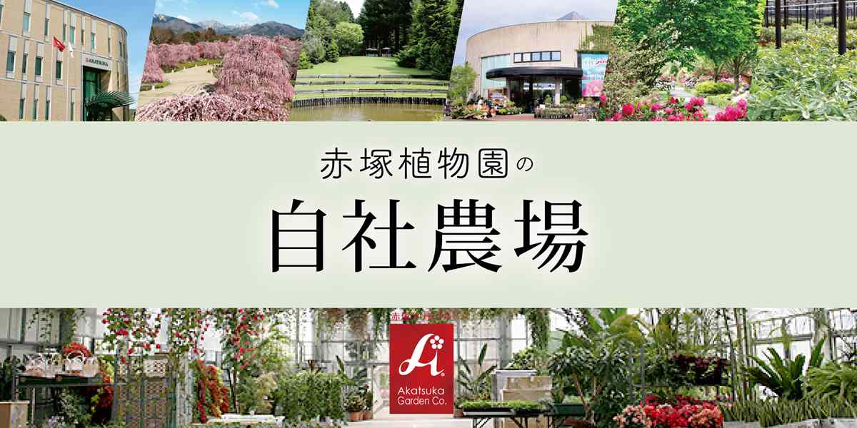 赤塚植物園自社生産品