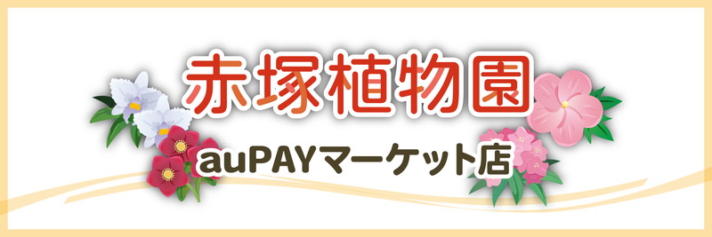 赤塚植物園auPAYマーケット店
