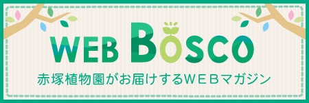 赤塚植物園　WEBBOSCO