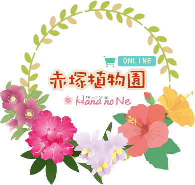 赤塚植物園 オンライン フラワーショップ花の音 運営 株式会社 赤塚植物園