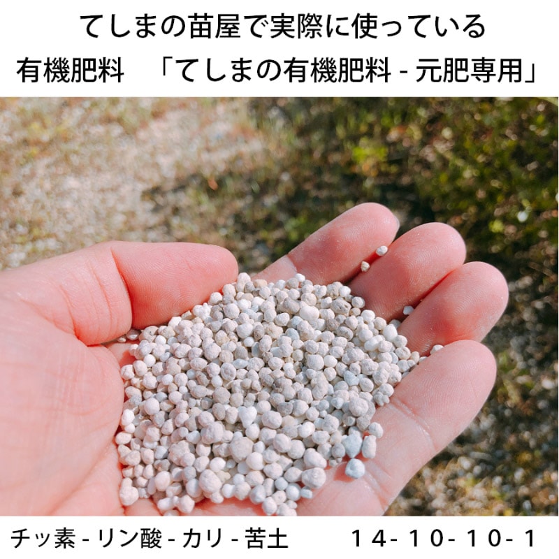 てしまの有機肥料 元肥専用 野菜 花全般に使える有機肥料 900g てしまの土 培土 てしまの苗屋 本店