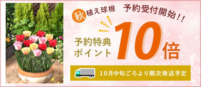 球根 宿根草 園芸用品の総合通販サイト 花の大和オンラインショップ