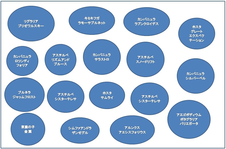 特集 日陰に向く宿根草の花壇 配置図