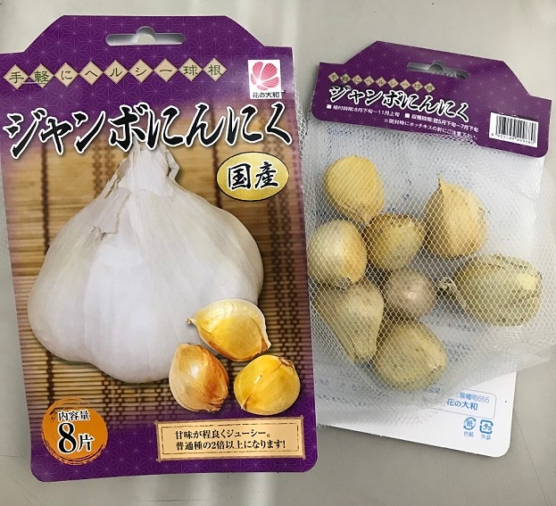 種球根 ジャンボ にんにく 国産 ８片 】大蒜 にんにく 種 ニンニク 野菜 やさい ガーリック garlic | 野菜の球根 |  花の大和オンラインショップ