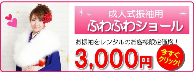 �դ�դ亮�硼���󥿥�