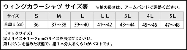 �����󥰥��顼�����