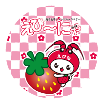 えび～にゃグッズ詰め合わせ+.* 。