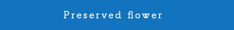 �ץꥶ���֥ɥե�