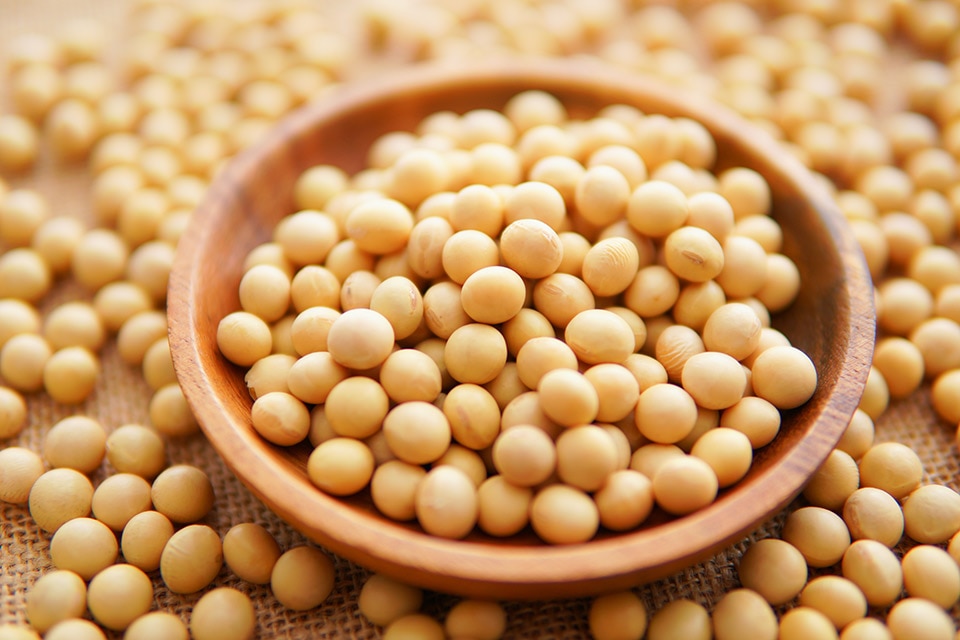 食用大豆100％から作った大豆油脂肪酸を使用、合成界面活性剤不使用